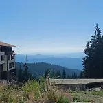 студио орфееви скали *