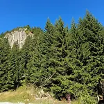 студио орфееви скали *