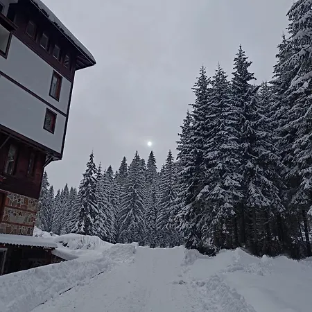 студио орфееви скали Apartment