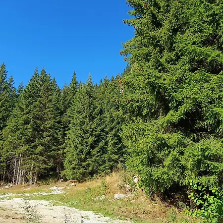 Apartment студио орфееви скали Pamporovo