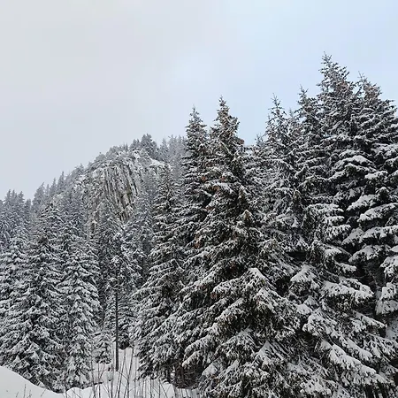 Apartment студио орфееви скали Pamporovo