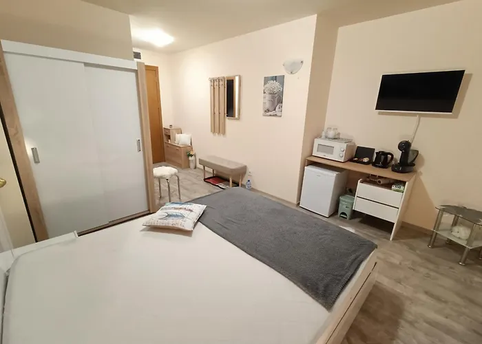 студио орфееви скали *