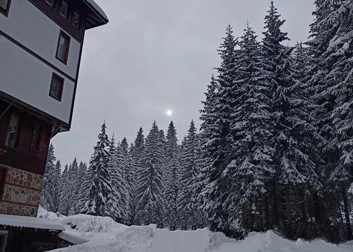 студио орфееви скали Apartment