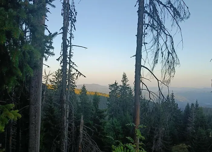 Apartment студио орфееви скали Pamporovo