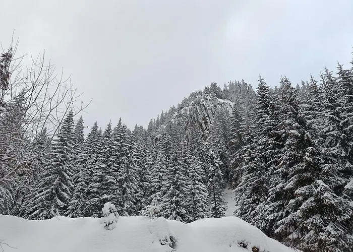 студио орфееви скали Pamporovo