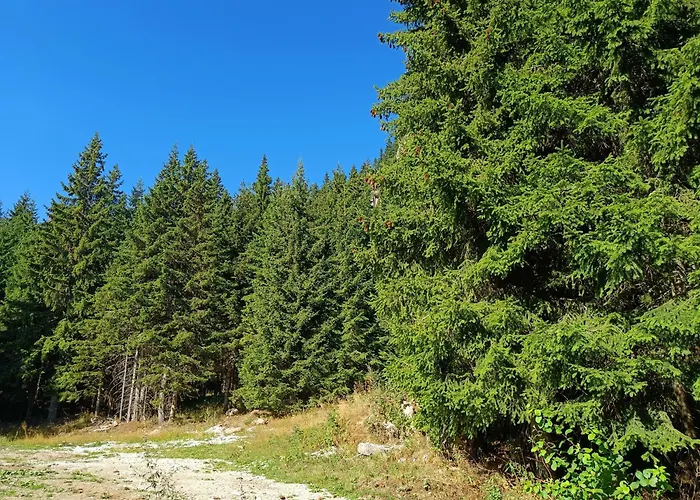 Apartment студио орфееви скали Pamporovo