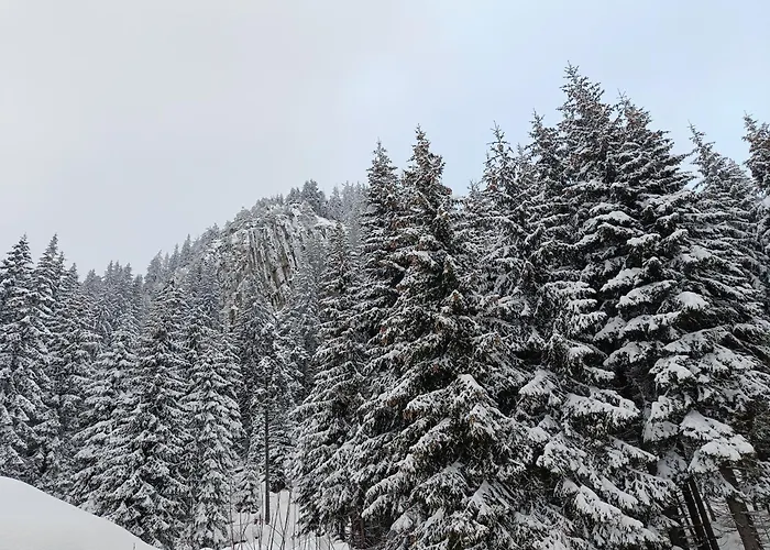 Apartment студио орфееви скали Pamporovo